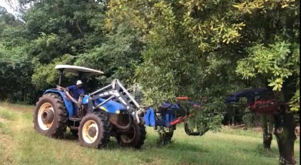 2010 New Holland TD95 and Sigma Loader with Bucket and Tree Shaker